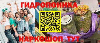 СК Краснодар