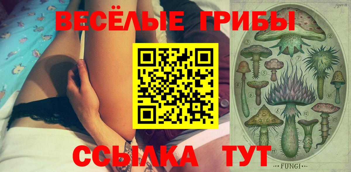 Жигулёвск  Псилоцибиновые грибы мицелий  Вход с VPN  Галлюциногенные грибы Psilocybe 